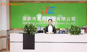 Jiajie Silicone Company Reception